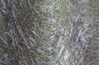 Isle Of Whithorn fibreglass roof work